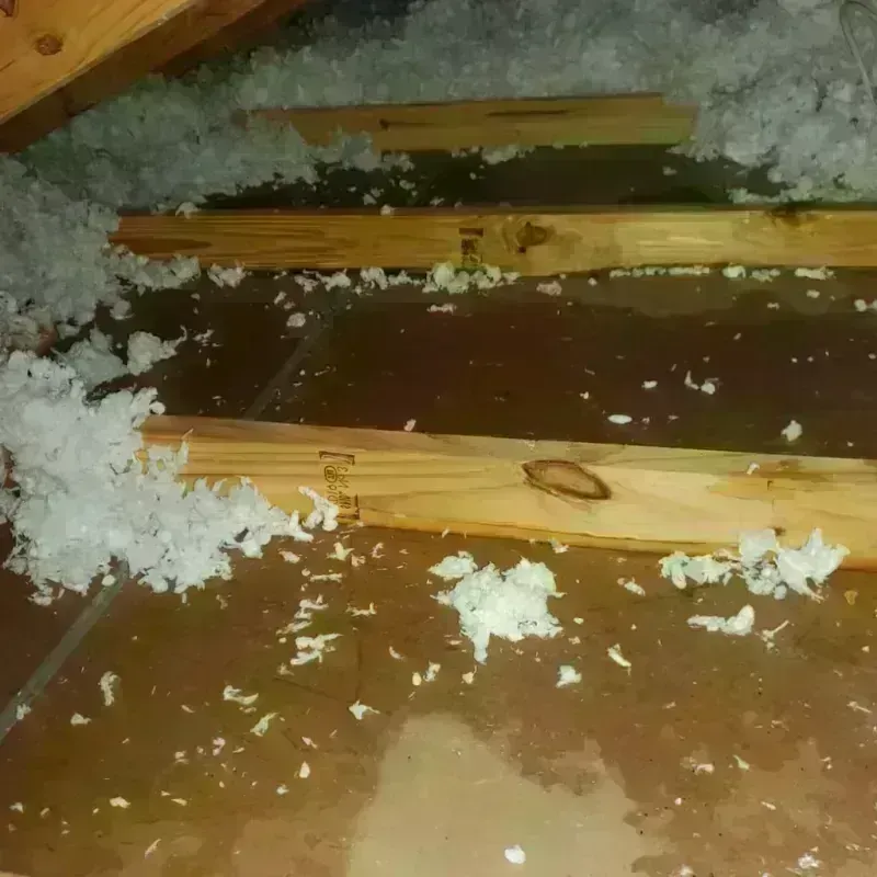 Attic Water Damage in Lake Park, IA