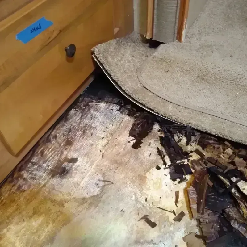 Wood Floor Water Damage in Lake Park, IA